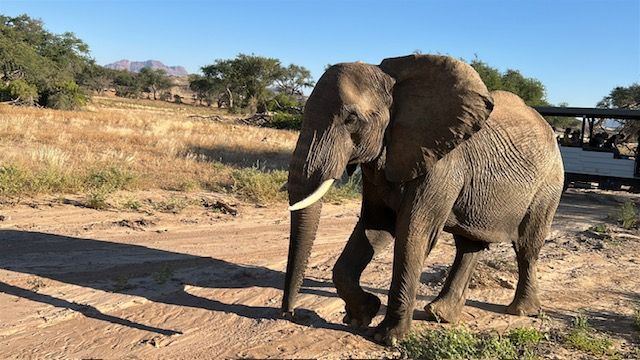 Damarland, Namibia