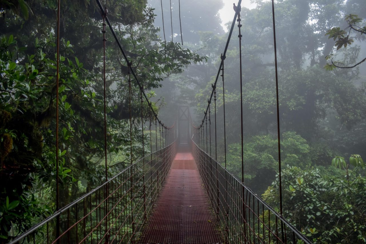 Cloud Forest, Costa Rica