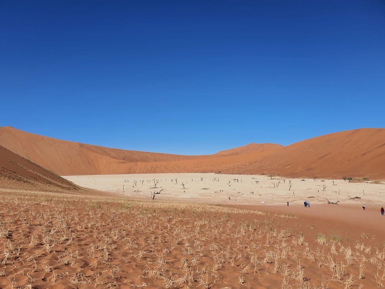 Namib Desert