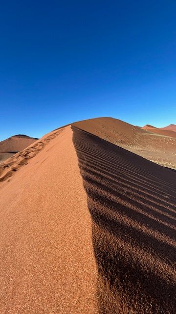 Namib Desert