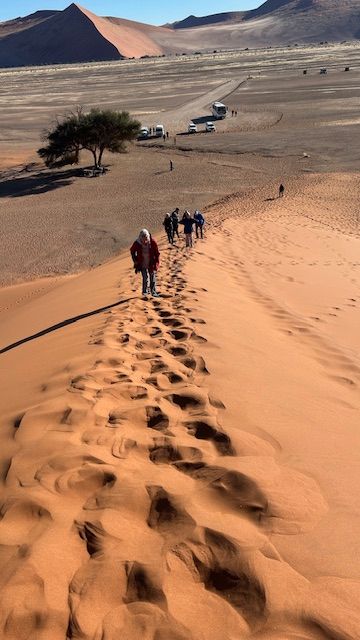 Namib Desert