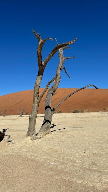 Namib Desert
