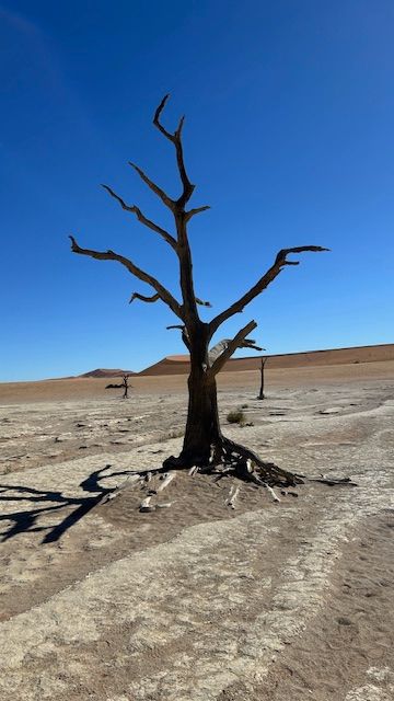 Namib Desert