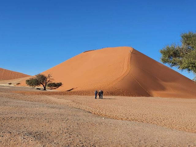 Namib Desert