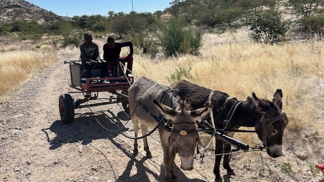 Damaraland to Etosha National Park, Namibia