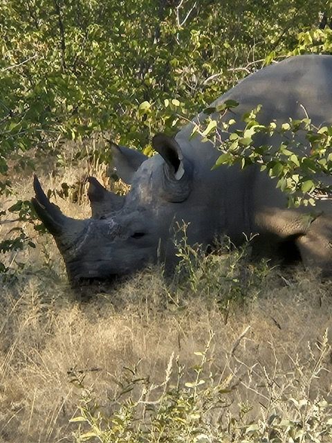 Etosha National Park, Namibia