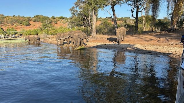 Victoria Falls, Zimbabwe, and Chobe National Park, Botswana