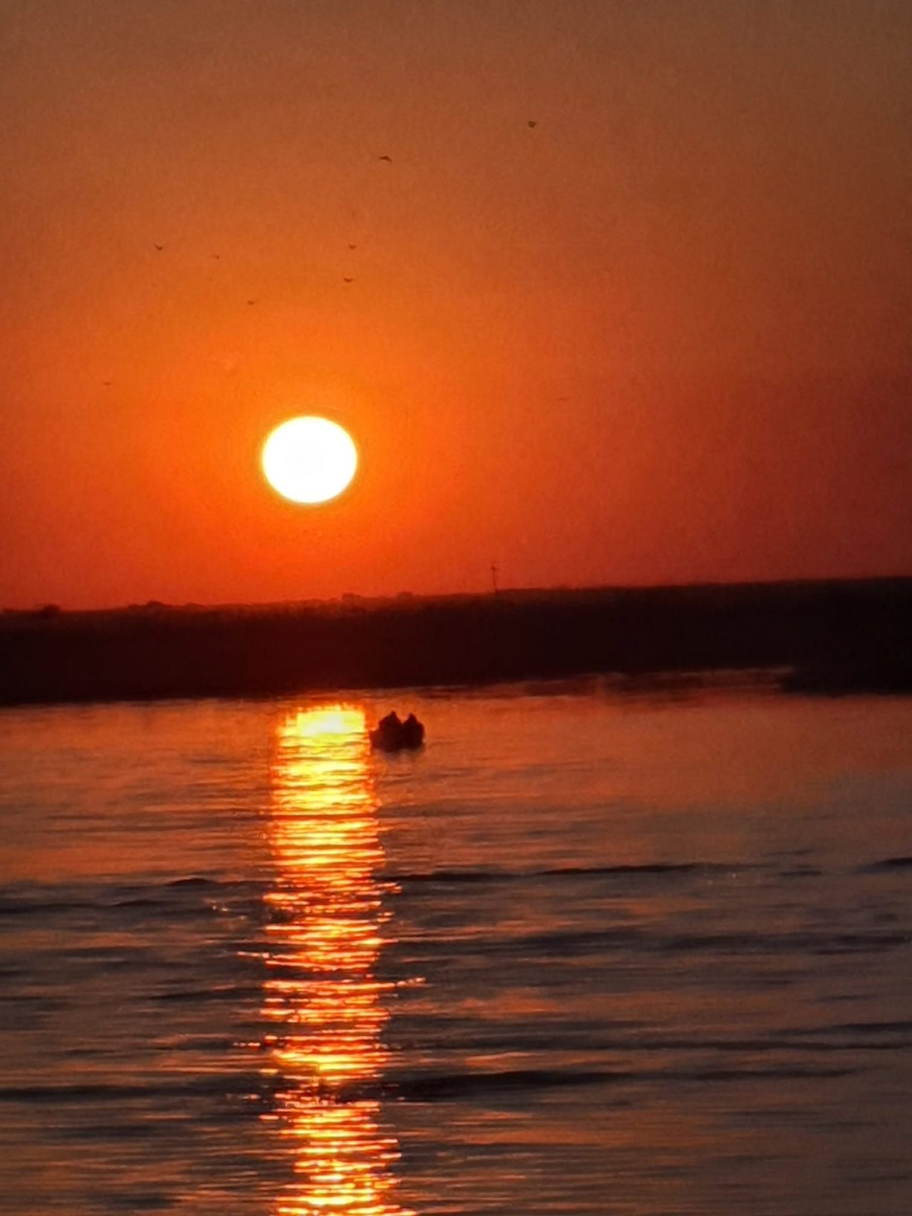 Chobe National Park, Botswana