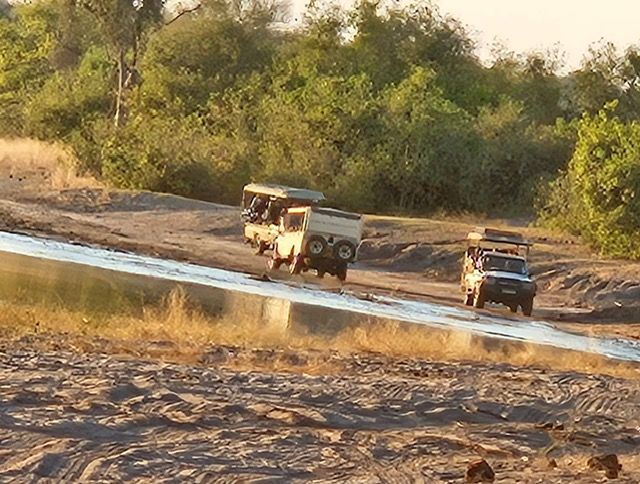 Chobe National Park, Botswana
