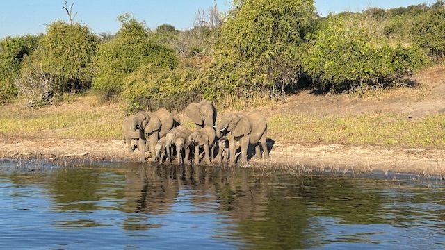 Chobe National Park, Botswana