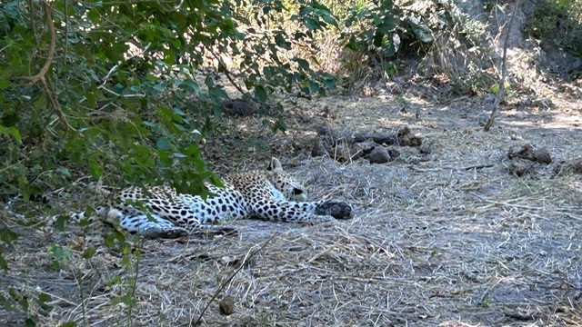 Okavango Delta, Botswana