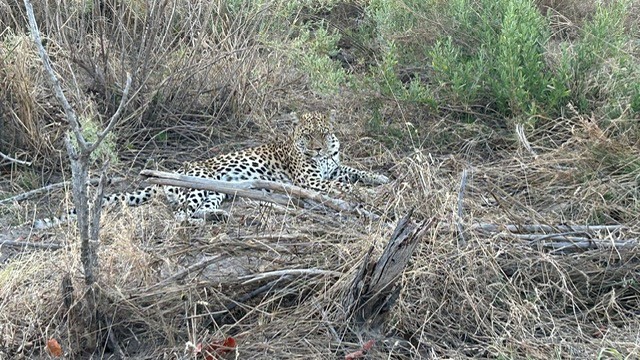 Okavango Delta, Botswana