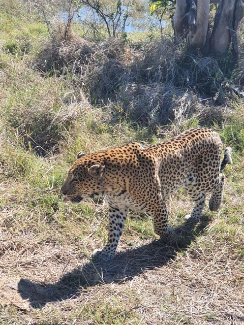 Okavango Delta, Botswana