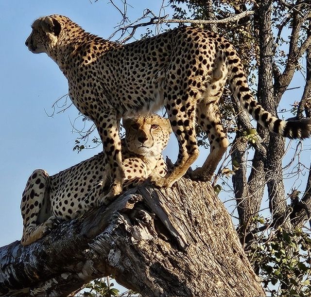 Okavango Delta, Botswana