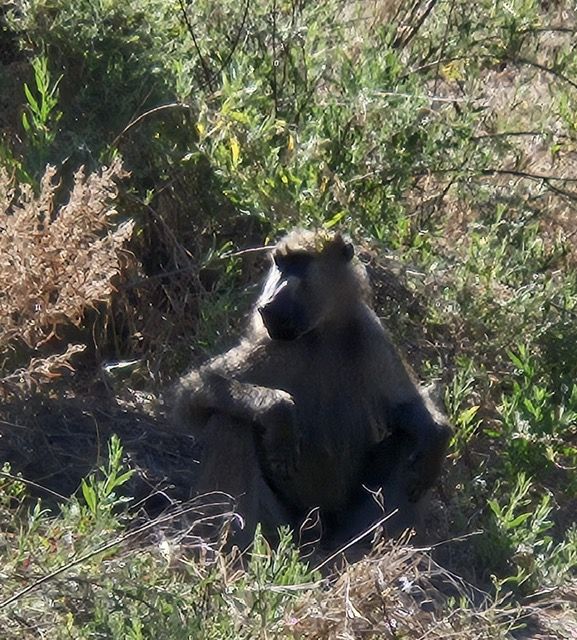 Okavango Delta, Botswana