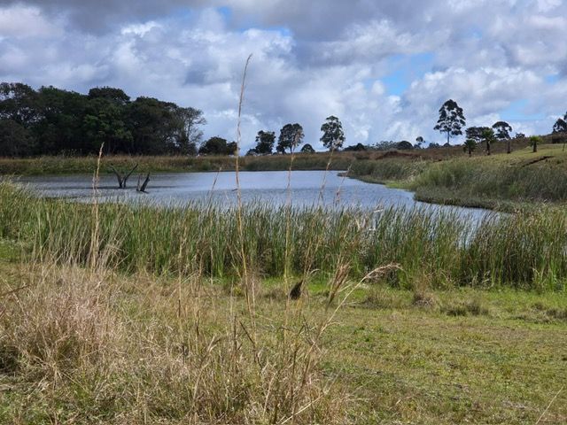 Malawi Game Park
