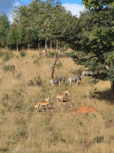 Malawi Game Park