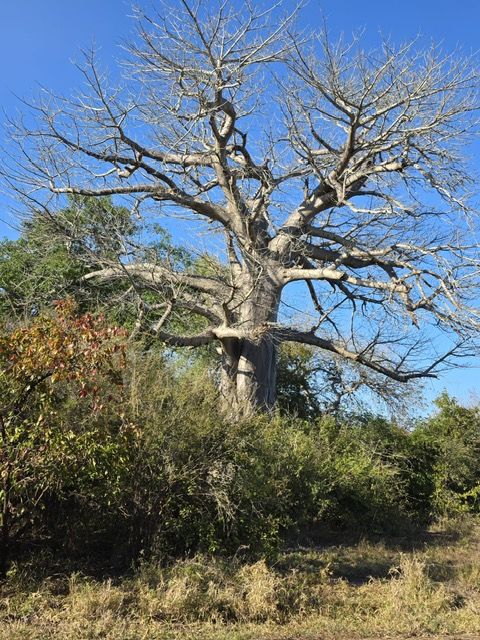 Majete Game Reserve, Malawi