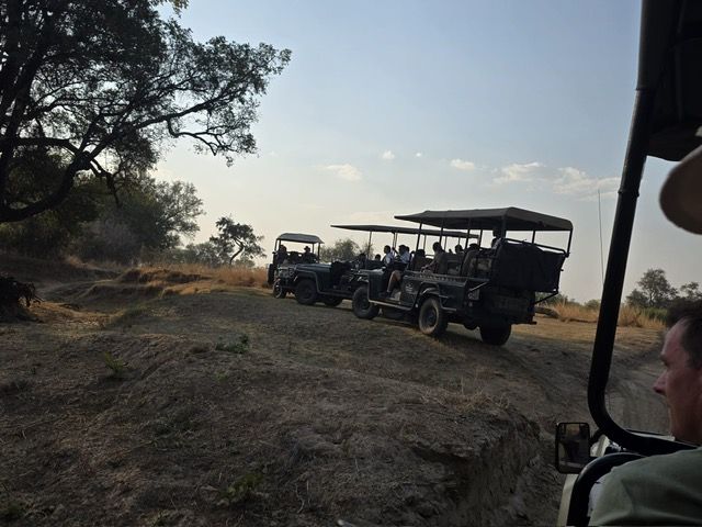 South Luangwa National Park, Zambia