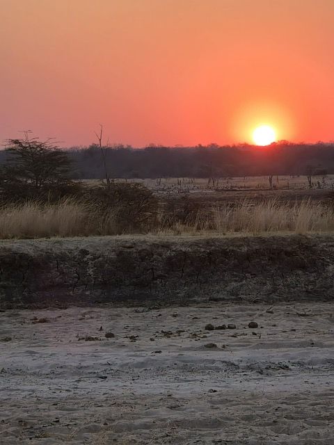 South Luangwa National Park, Zambia