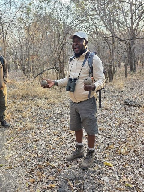 South Luangwa National Park, Zambia