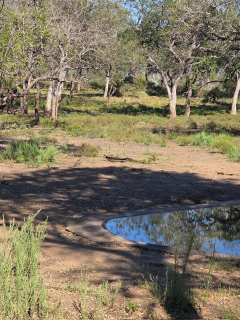 Majete Game Reserve, Malawi