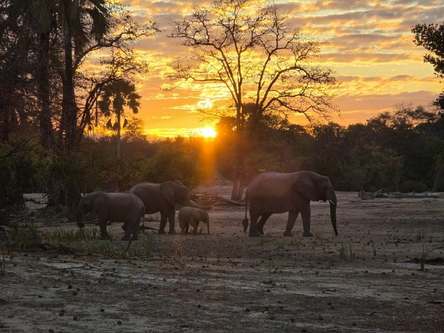 Liwonde , Malawi