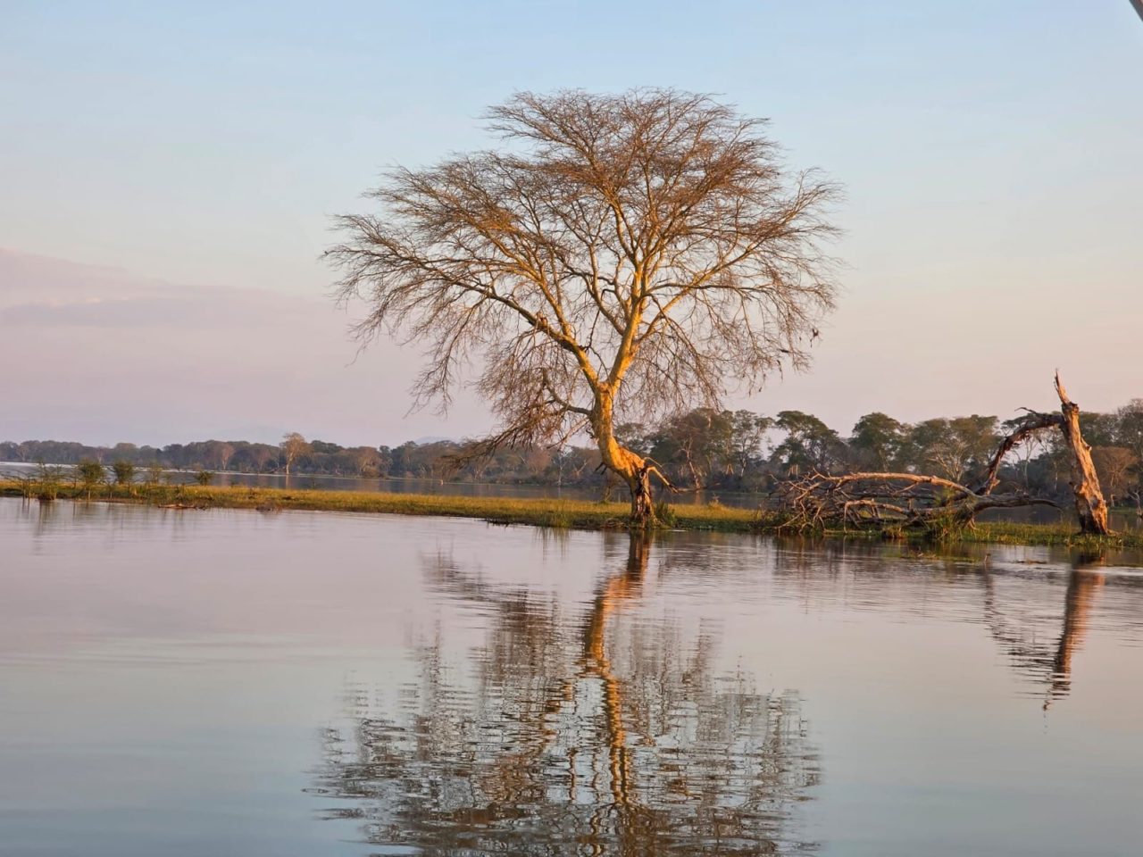 Mvuu Lodge, Liwonde, Malawi