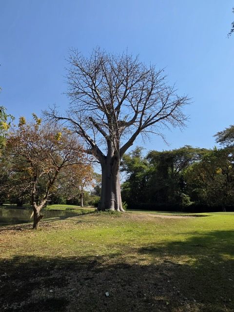 Lake Maka, Malawi