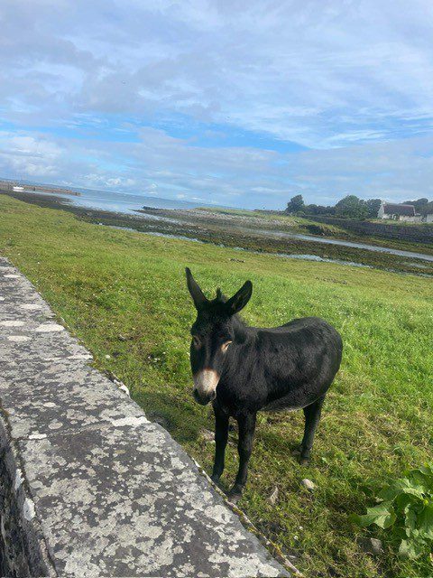 The Burren, Ireland