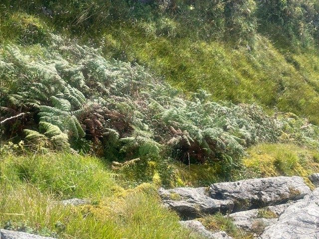 The Burren, Ireland