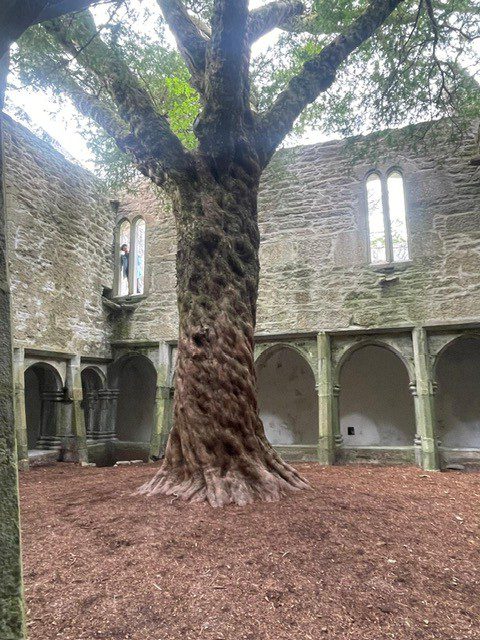 Muckross House, Ireland