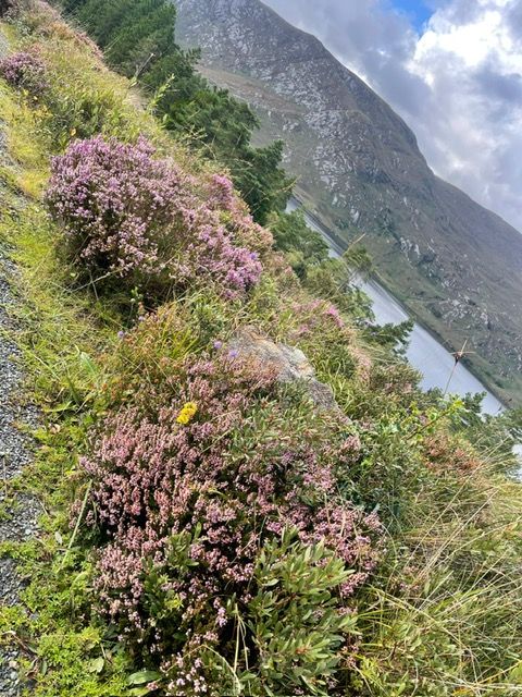 Glenveagh, Co Donegal, Ireland